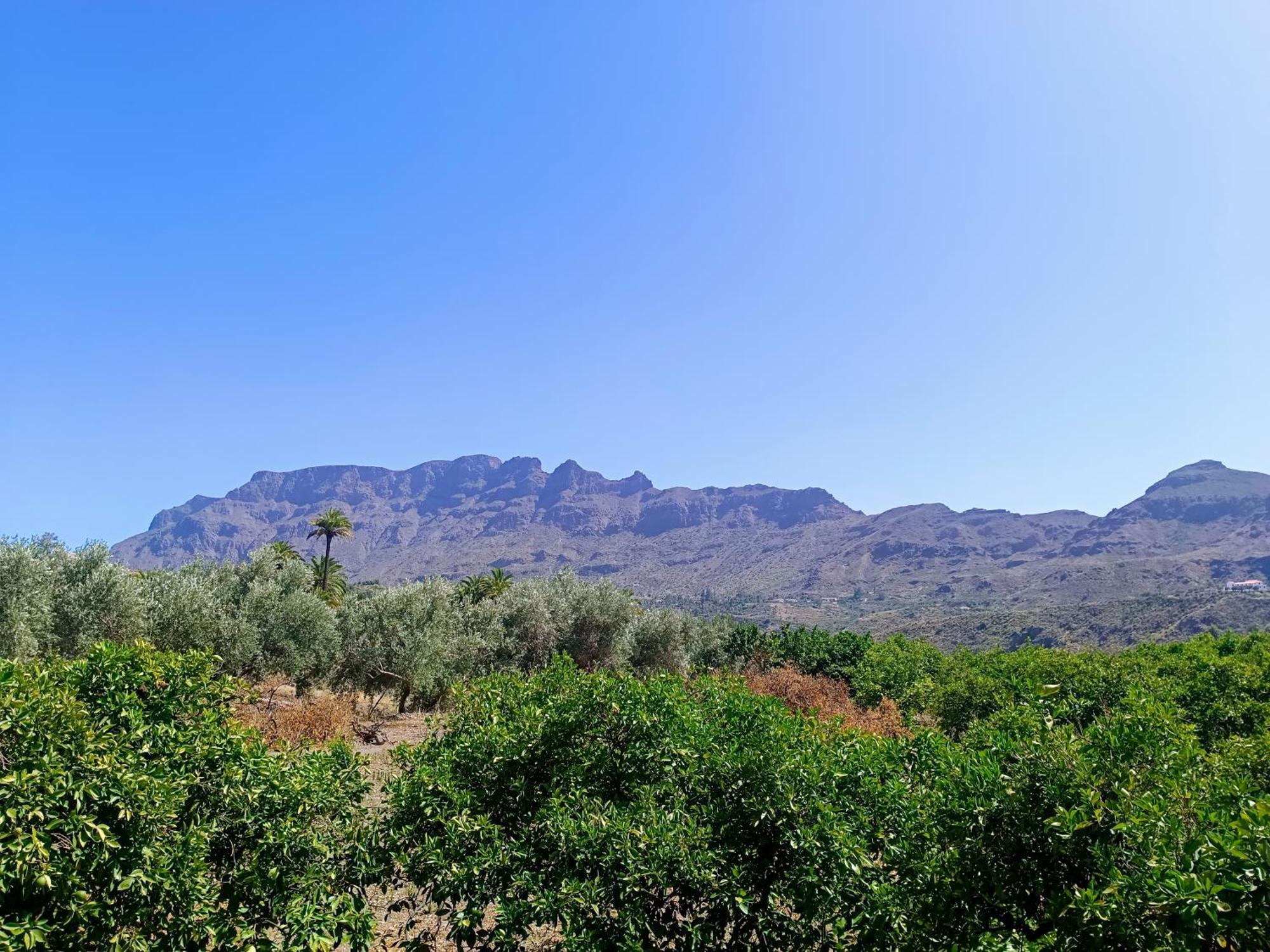 הוילה Santa Lucia La Casa De La Pradera מראה חיצוני תמונה