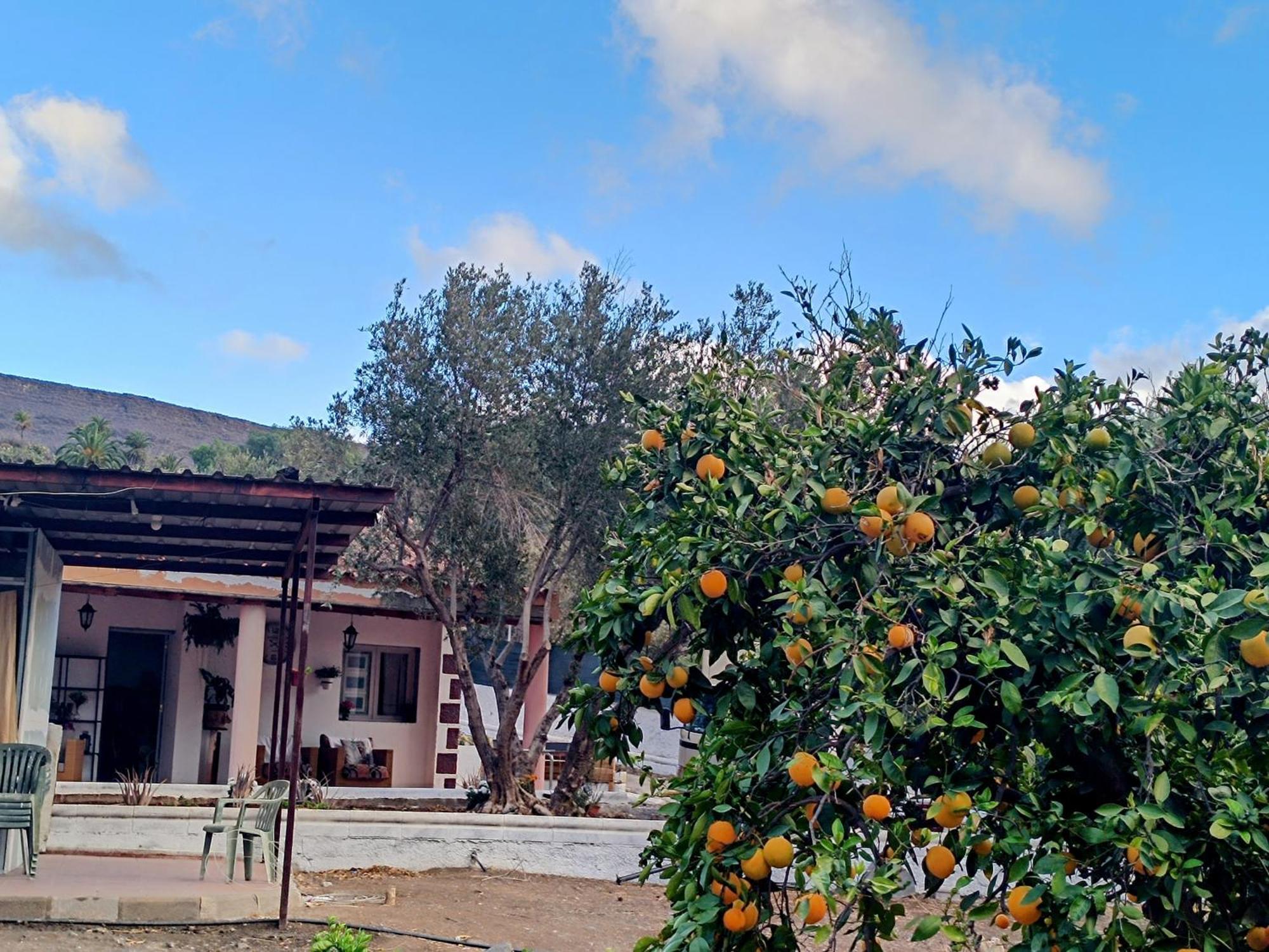 הוילה Santa Lucia La Casa De La Pradera מראה חיצוני תמונה