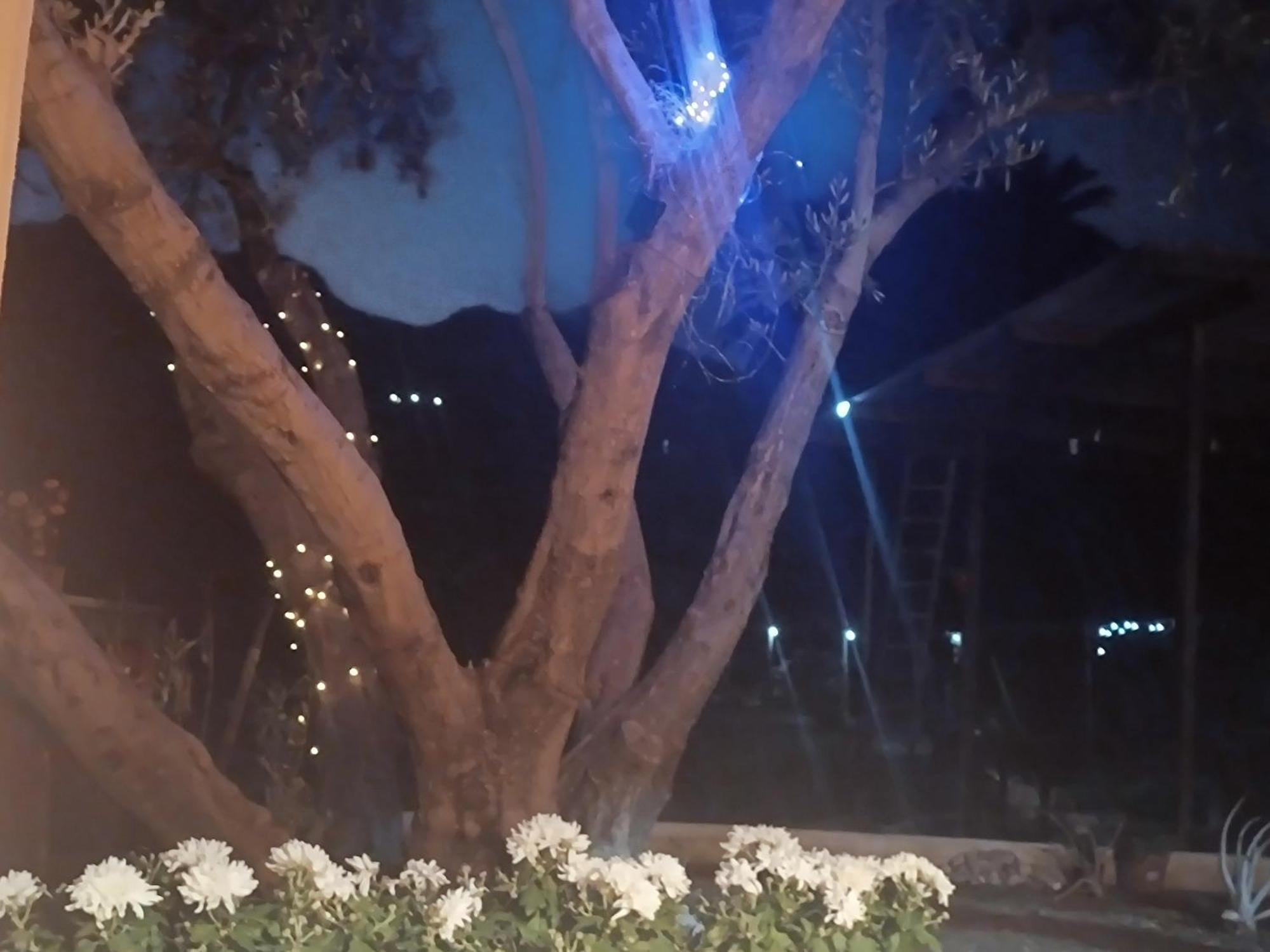 הוילה Santa Lucia La Casa De La Pradera מראה חיצוני תמונה