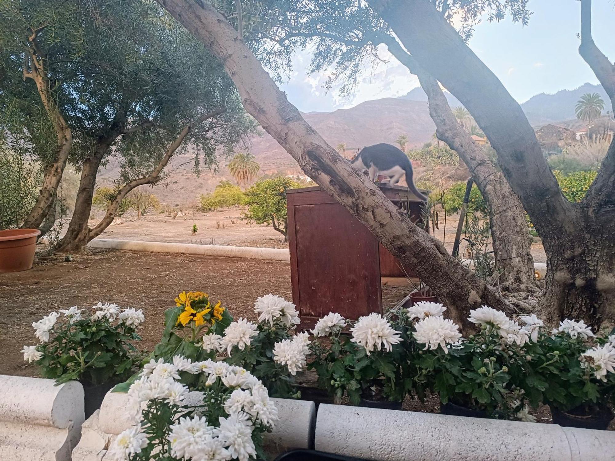 הוילה Santa Lucia La Casa De La Pradera מראה חיצוני תמונה